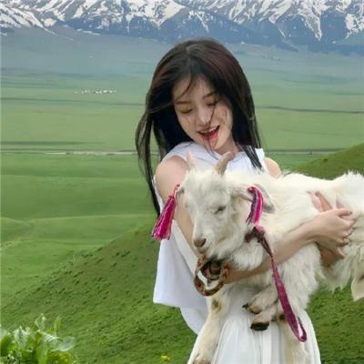 硫磺泉镇的秘密第三季